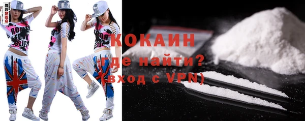 прущие грибы Горняк