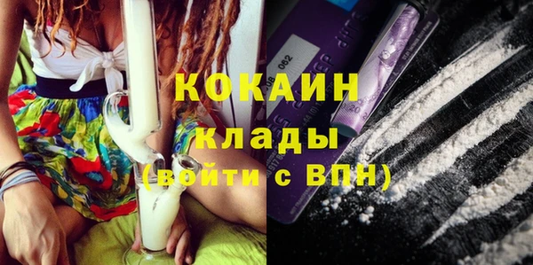 прущие грибы Горняк