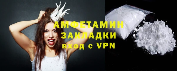 прущие грибы Горняк