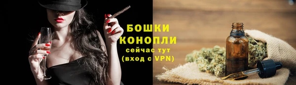 spice Горнозаводск