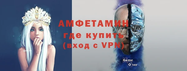 прущие грибы Горняк