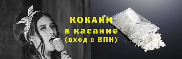 прущие грибы Горняк