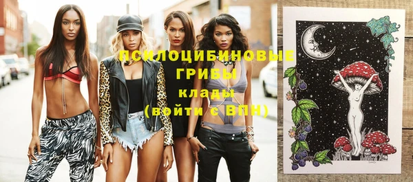 spice Горнозаводск