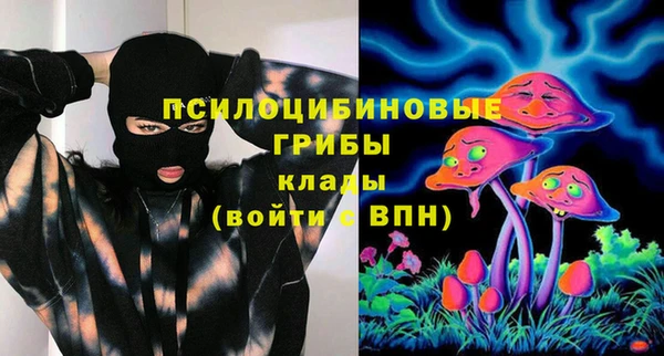 spice Горнозаводск