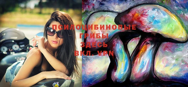 spice Горно-Алтайск