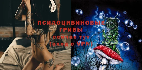 spice Горнозаводск