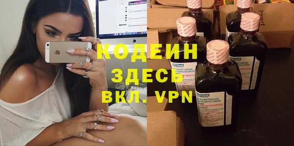 прущие грибы Горняк
