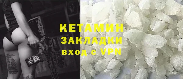 прущие грибы Горняк