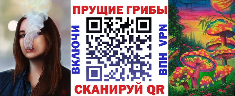 Купить где  Сольвычегодск  Галлюциногенные грибы MAGIC MUSHROOMS 